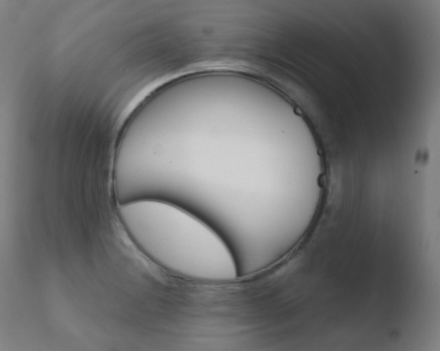 X0000110731228200906121303