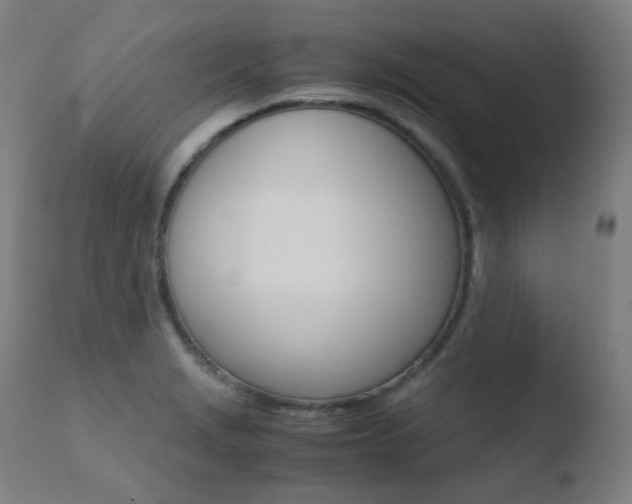 X0000110731229200906121303