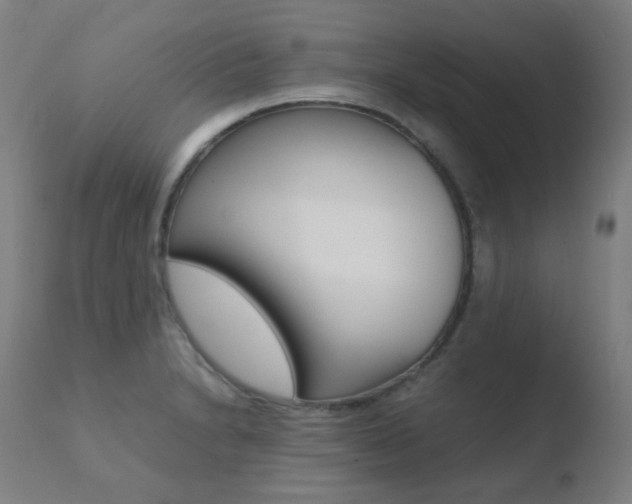 X0000110731230200906121303