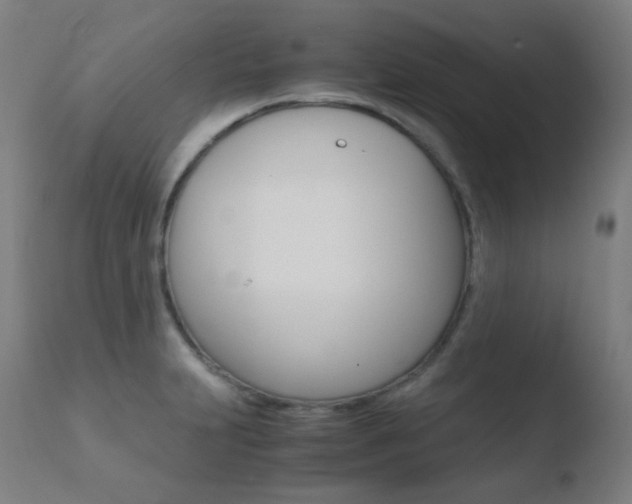 X0000110731231200906121303