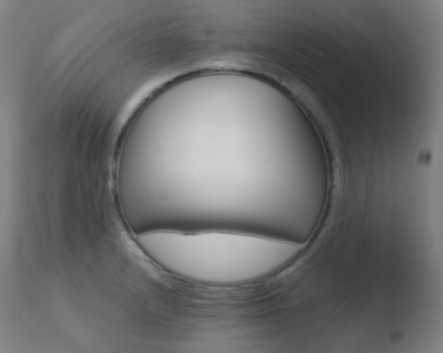 X0000110731232200906121303