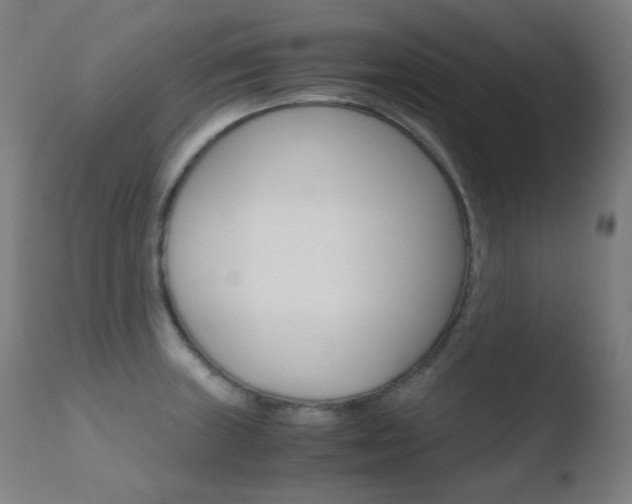 X0000110731235200906121303