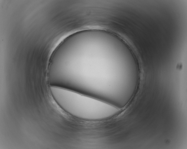 X0000110731236200906121303