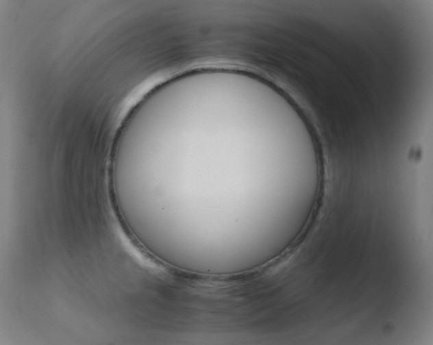 X0000110731237200906121303