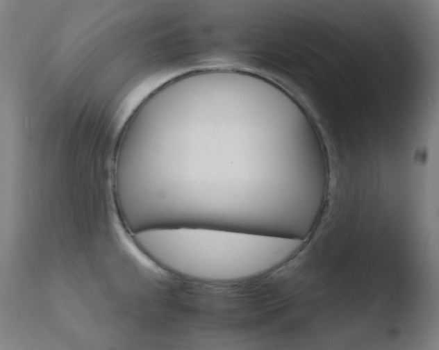 X0000110731239200906121303