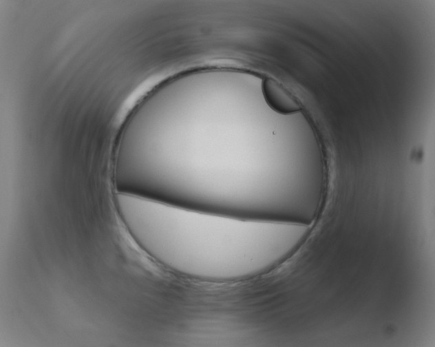 X0000110731240200906121303