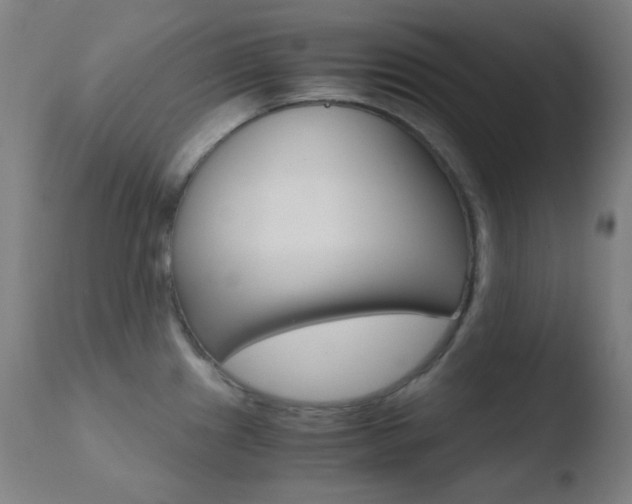 X0000110731241200906121303