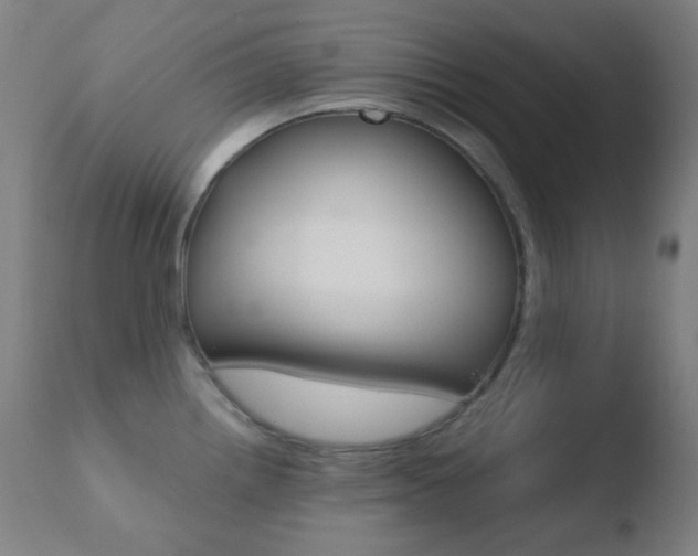 X0000110731242200906121303
