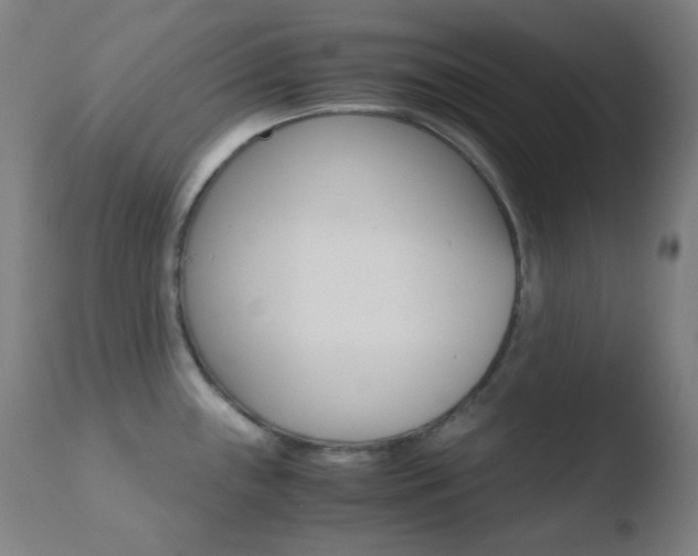 X0000110731243200906121303
