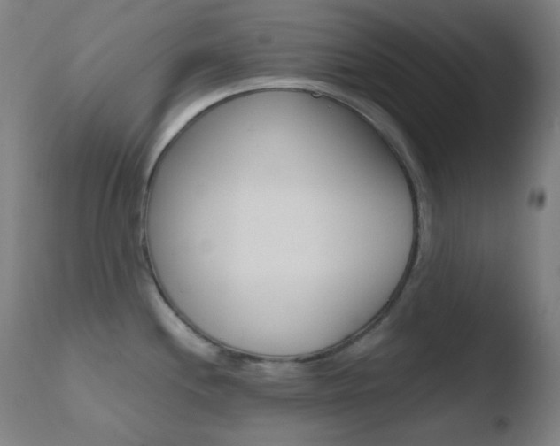 X0000110731244200906121303