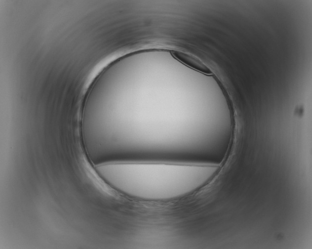 X0000110731246200906121303