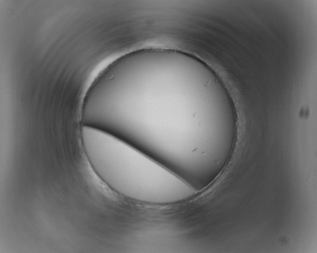 X0000110731248200906121303
