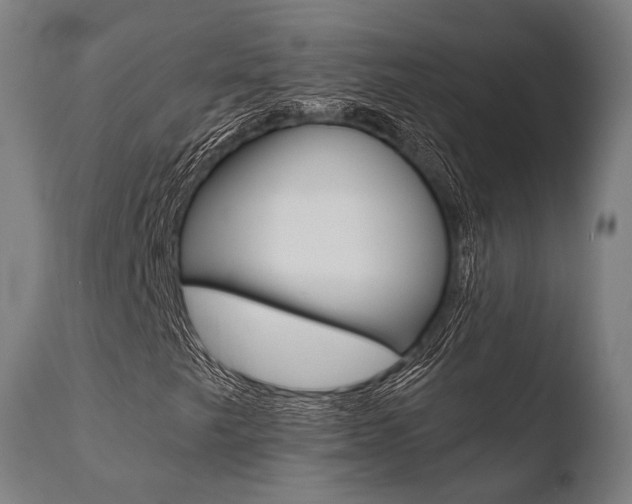 X0000110731249200906121302
