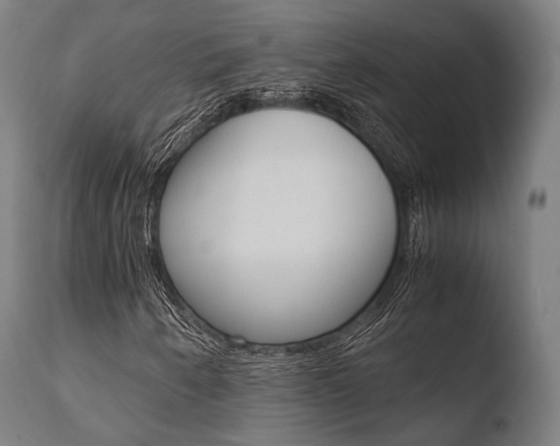 X0000110731250200906121302