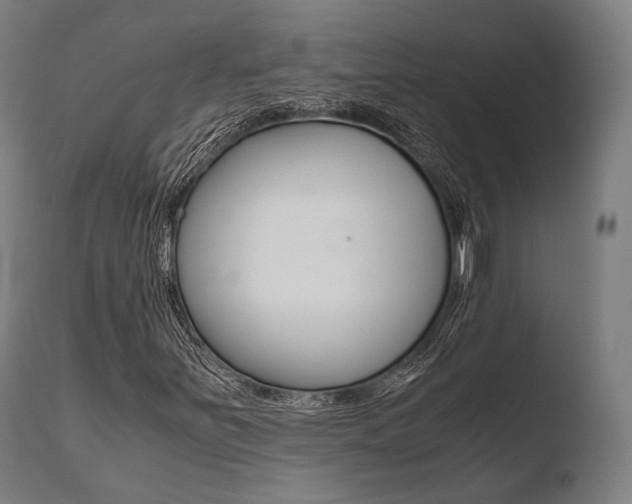 X0000110731251200906121302