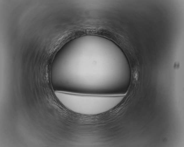 X0000110731252200906121302