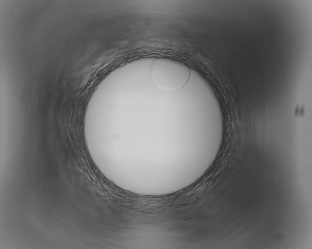X0000110731253200906121302