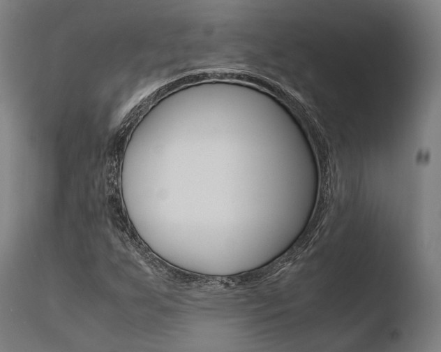 X0000110731255200906121302
