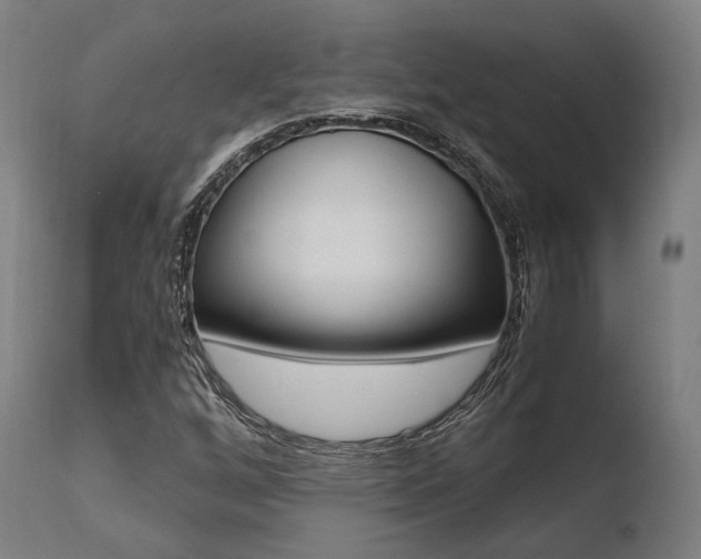 X0000110731256200906121302