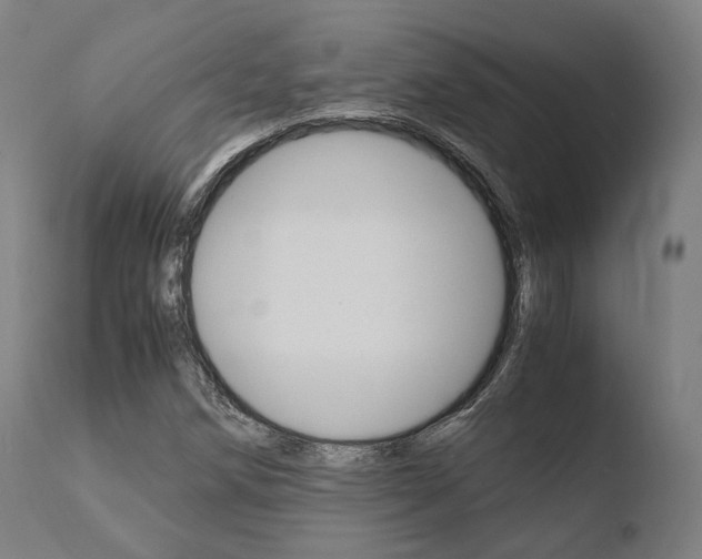 X0000110731258200906121302