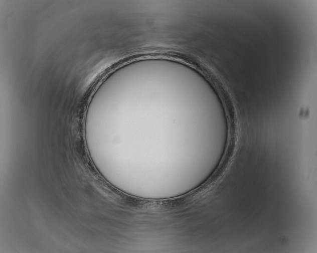 X0000110731259200906121302