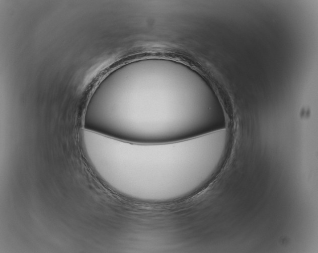 X0000110731261200906121302