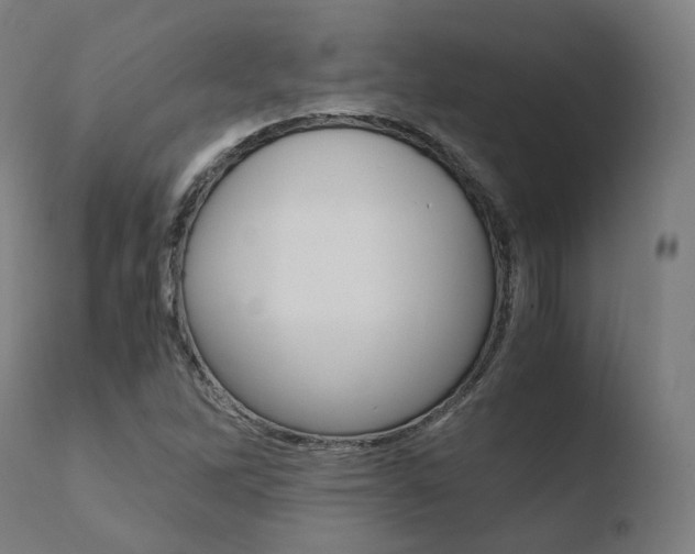 X0000110731262200906121302