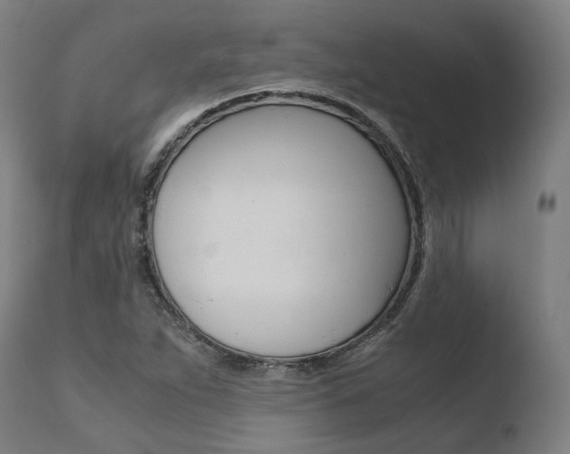 X0000110731263200906121302