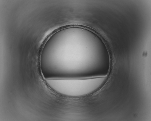 X0000110731264200906121302