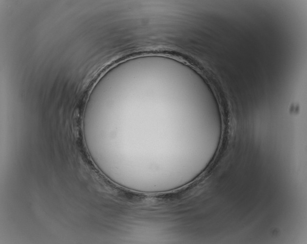 X0000110731265200906121302