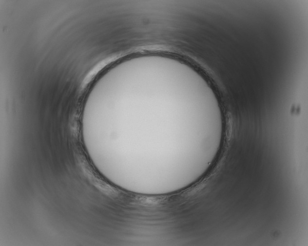 X0000110731266200906121302