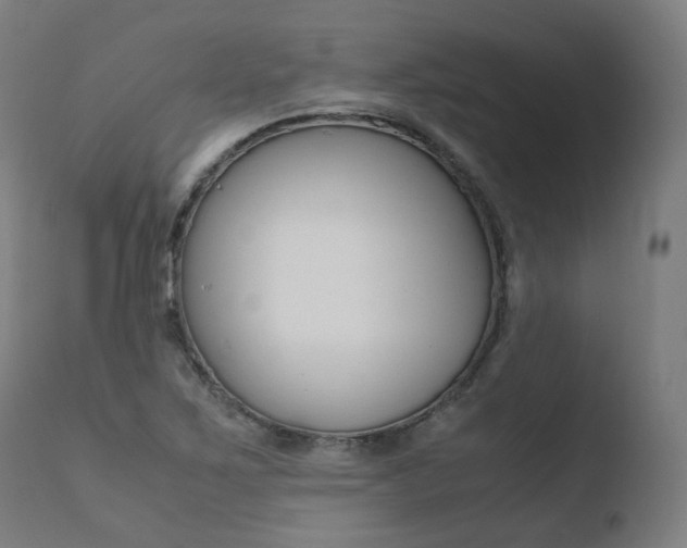 X0000110731267200906121302