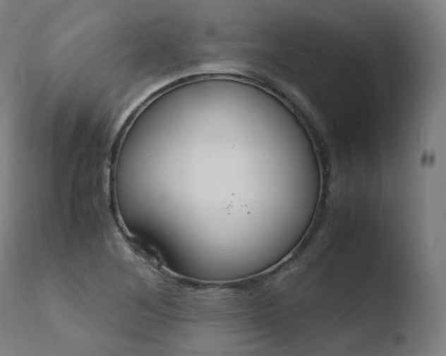X0000110731268200906121302
