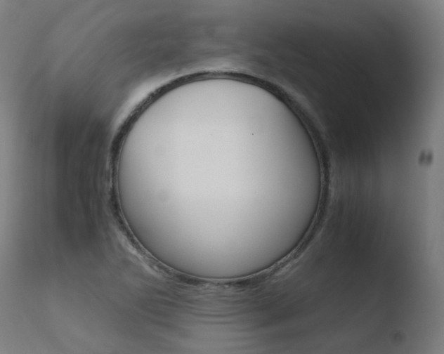 X0000110731270200906121302