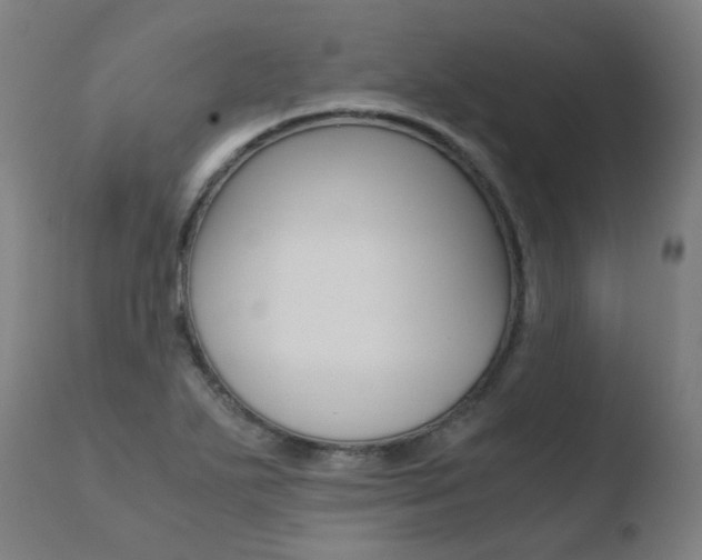 X0000110731271200906121302
