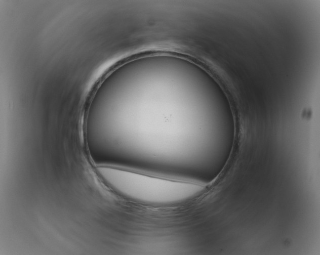 X0000110731272200906121302