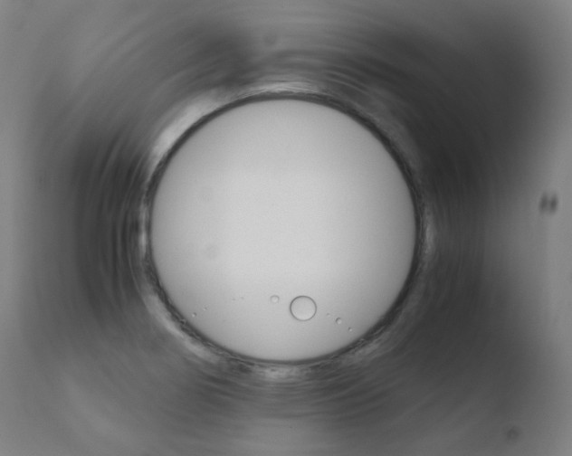 X0000110731274200906121302