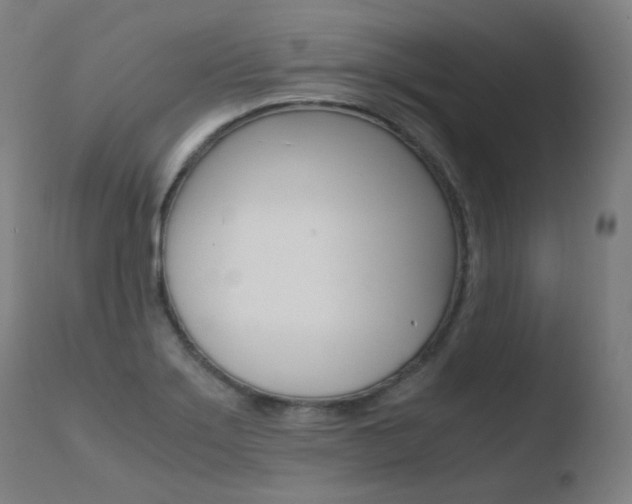 X0000110731275200906121302