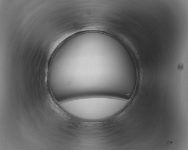 X0000110731276200906121302