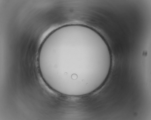 X0000110731278200906121302