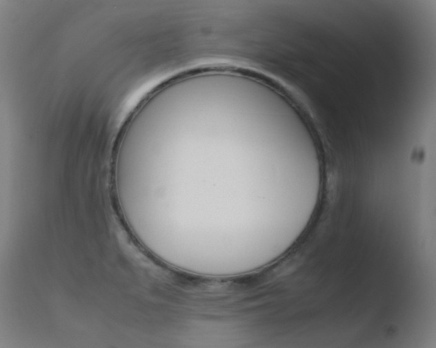 X0000110731279200906121302