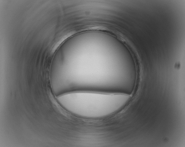 X0000110731281200906121302