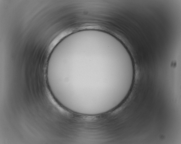 X0000110731282200906121302