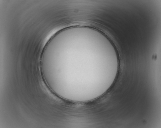 X0000110731283200906121302