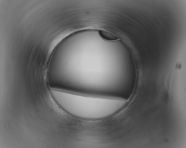 X0000110731284200906121302