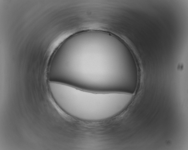 X0000110731285200906121302