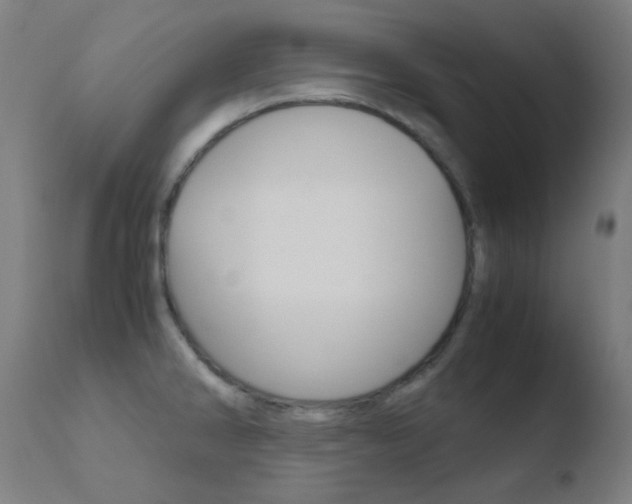 X0000110731286200906121302