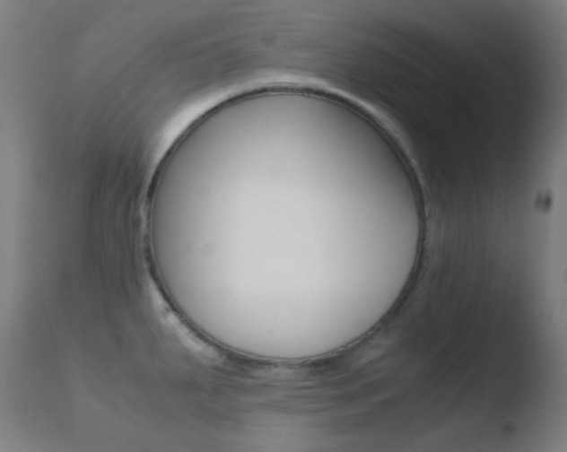 X0000110731287200906121302