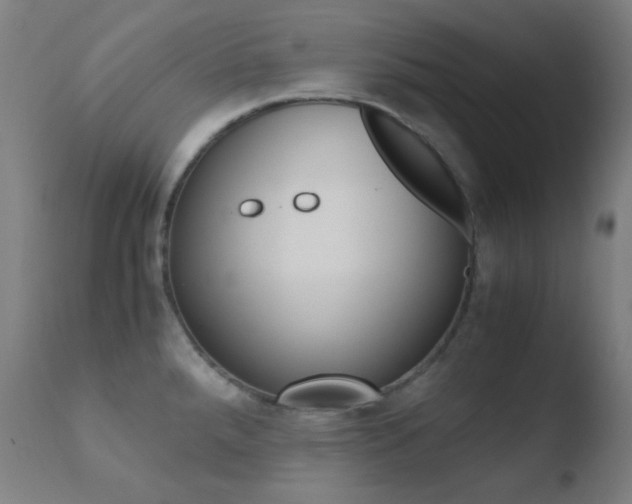 X0000110731288200906121302