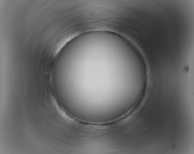 X0000110731289200906121302